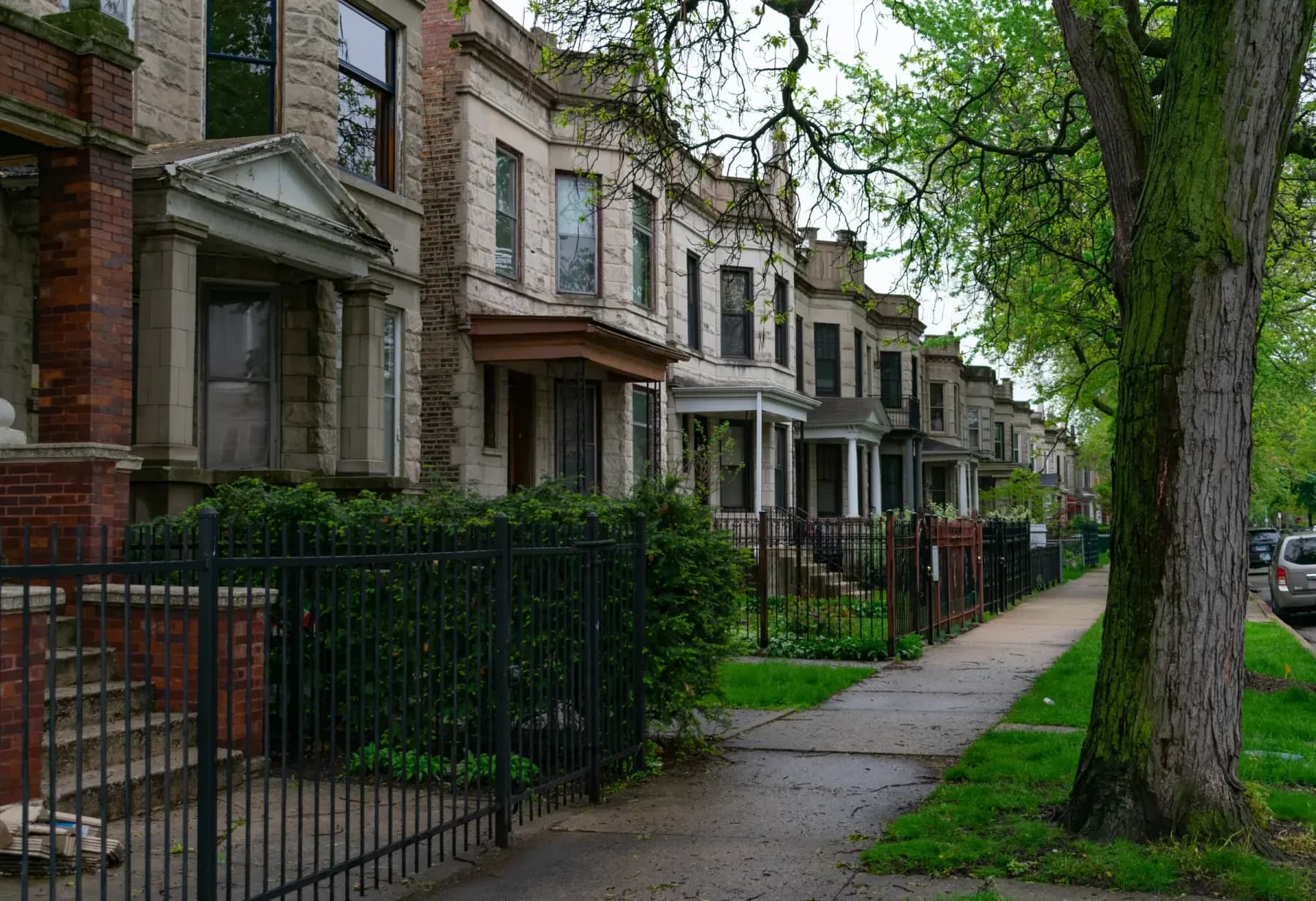 Tree-lined Chicago sidewalk with brick homes behind iron fences