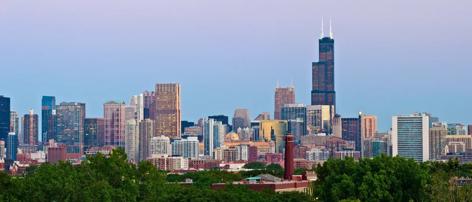 Chicago skyline seen above the trees