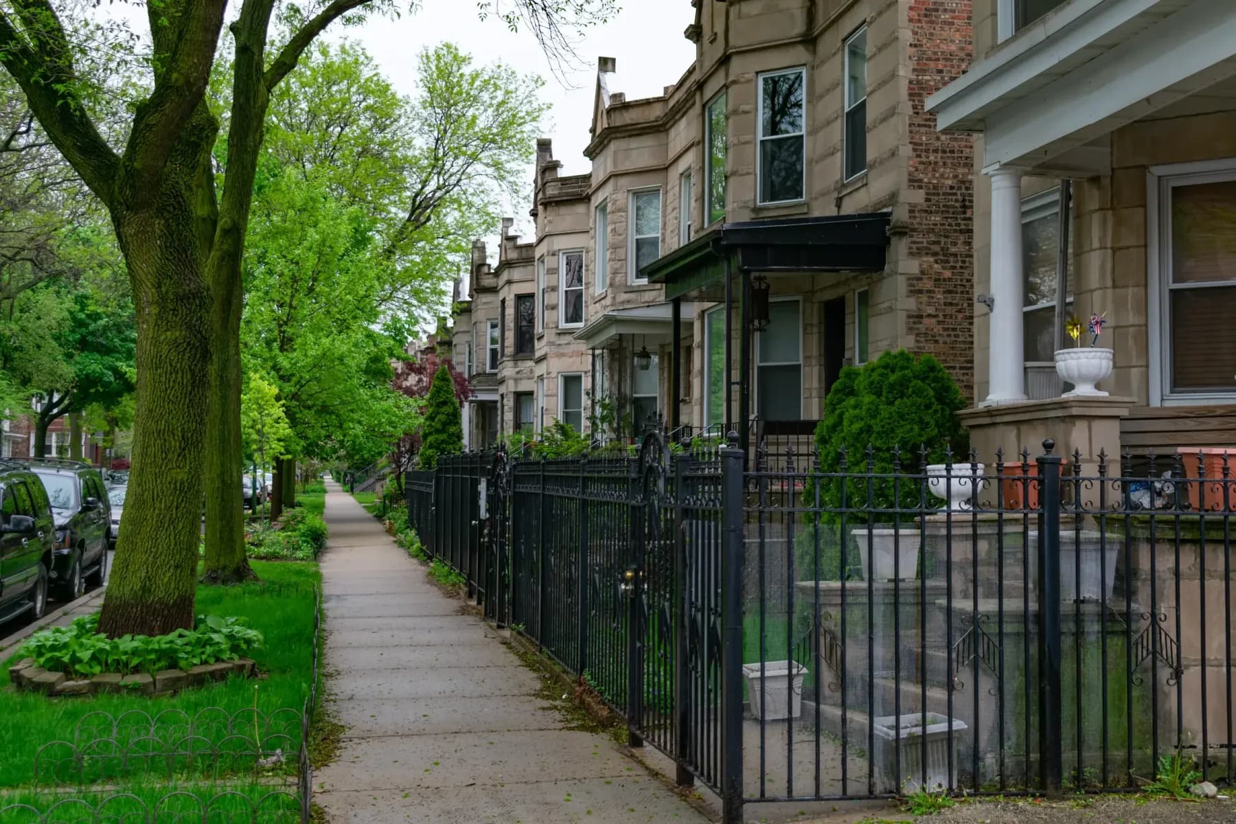 Greystone homes behind iron fences on a tree-lined Chicago sidewalk
